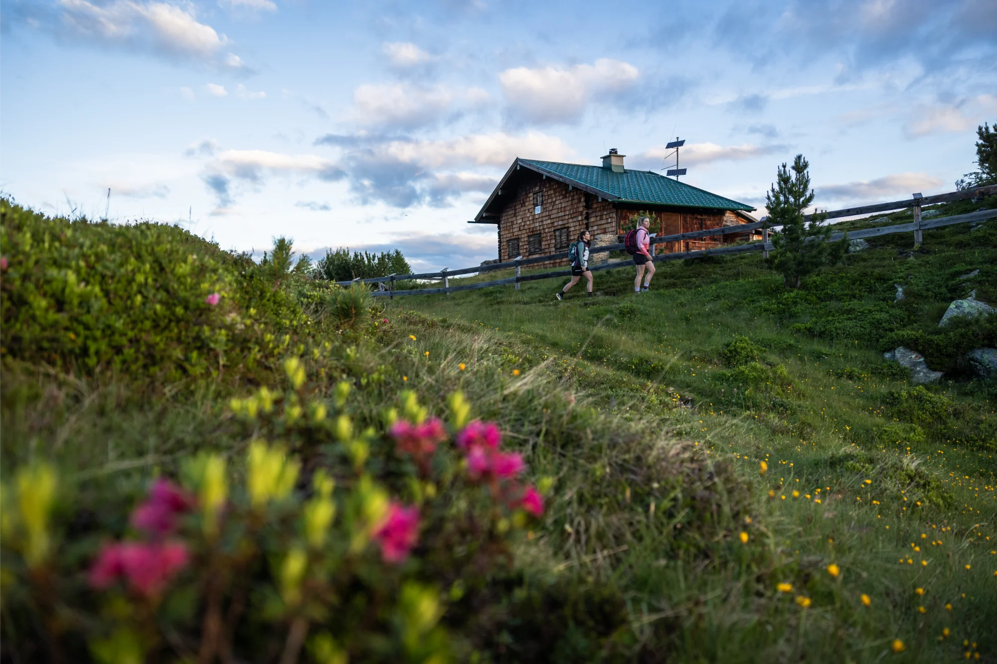 IBK Zirbenweg Patscherkofel 240705 Jonas Schwarzwaelder 0723