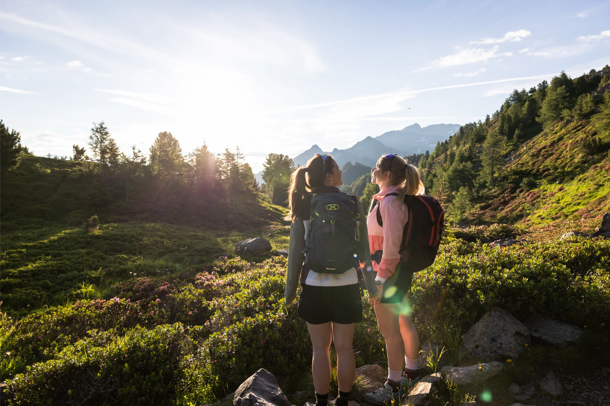 IBK Zirbenweg Patscherkofel 240705 Jonas Schwarzwaelder 1273